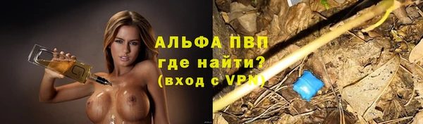 хмурый Белокуриха