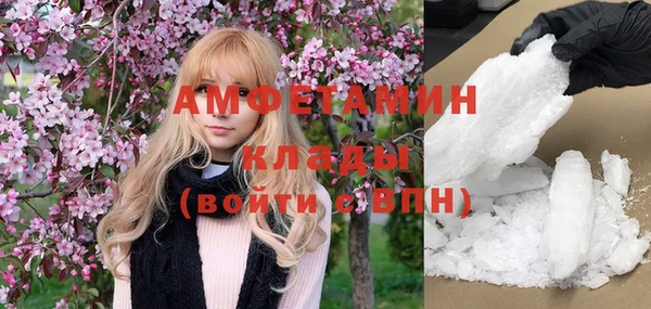 хмурый Белокуриха