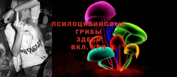 таблы Богданович
