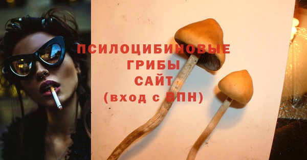 хмурый Белокуриха