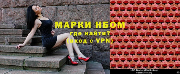 хмурый Белокуриха