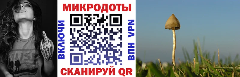 Галлюциногенные грибы прущие грибы  хочу наркоту  Искитим 