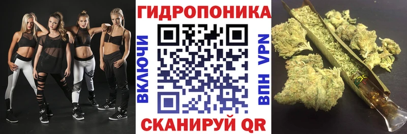 Канабис OG Kush  Искитим 